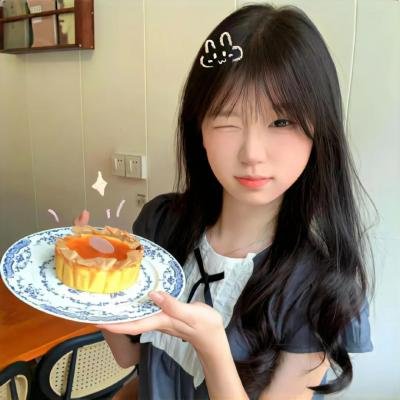 小镇大法官